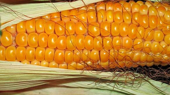 Que non comer na dieta ceto